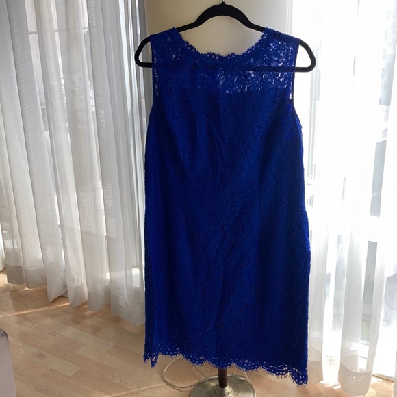 Vibrant blue lace dress from Précis size 14 - Picture 2 of 2